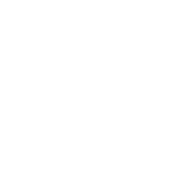 Classic Swedish Massage icon